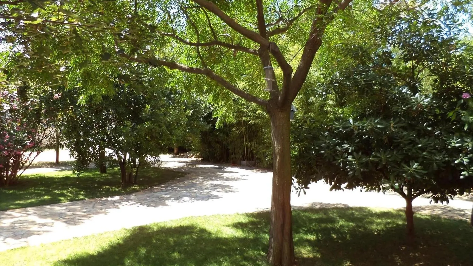 ביבינייה Strandnahes Haus Lolinka Mit Schattiger Terrasse בית נופש