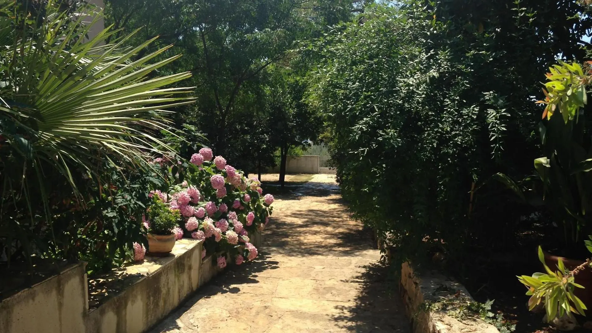 בית נופש ביבינייה Strandnahes Haus Lolinka Mit Schattiger Terrasse